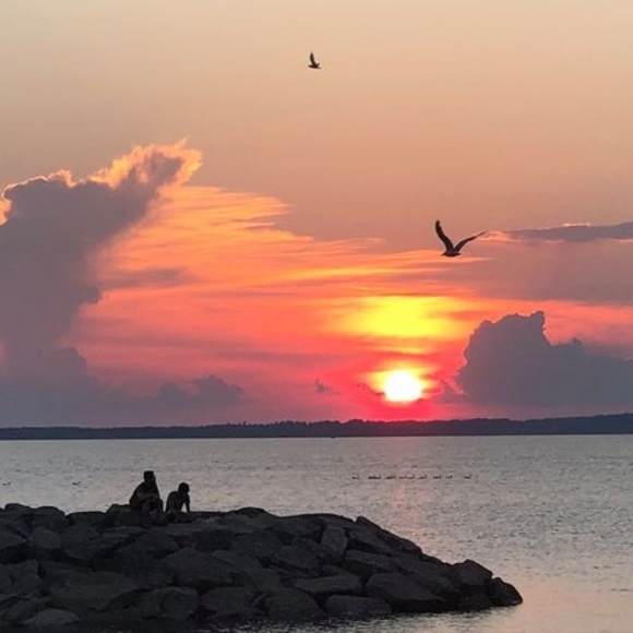 Meet your Posher, Artur - Picture 1 of 1